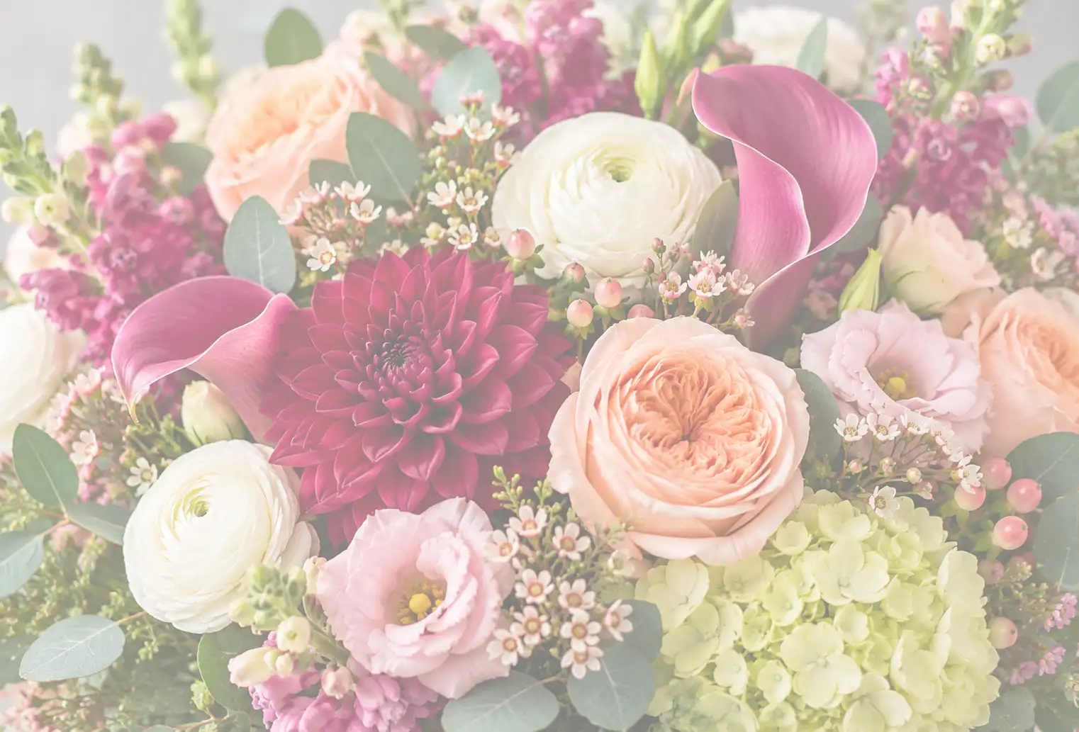 Close-up of a lush floral arrangement featuring burgundy dahlias, peach roses, white ranunculus, magenta calla lilies, pink blooms, green hydrangeas, eucalyptus leaves, and delicate filler flowers. in New London, Connecticut